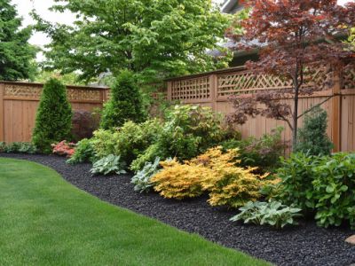 A lush green lawn curves alongside a garden bed filled with various plants, including a red maple tree, all enclosed by a wooden fence. The garden bed is covered in dark mulch and features a variety of foliage colors and textures.