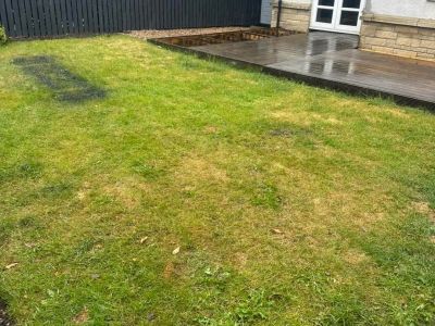 The image shows a backyard with a wet wooden deck and a patchy, discolored lawn. A dark stain is visible on the grass in the foreground.